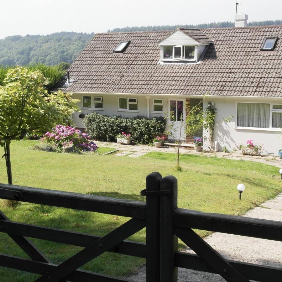 Bed and Breakfast Nettle Bank Lyme Regis Zewnętrze zdjęcie